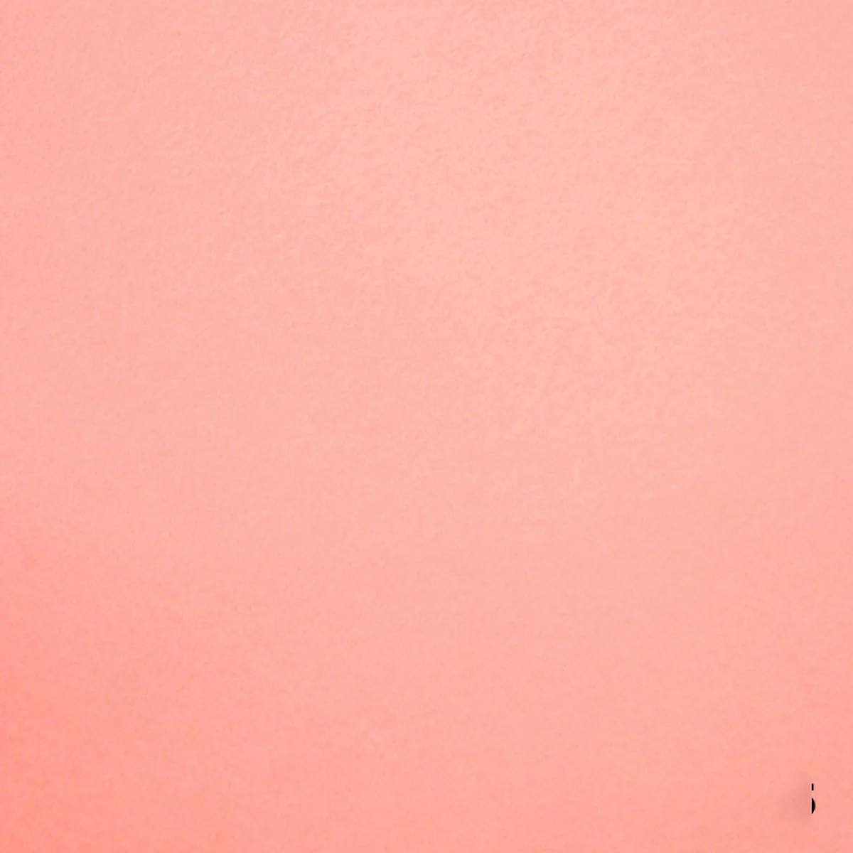 Thumbnail 25